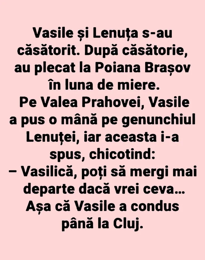 Bancul de marți Vasile, Lenuța și luna de miere