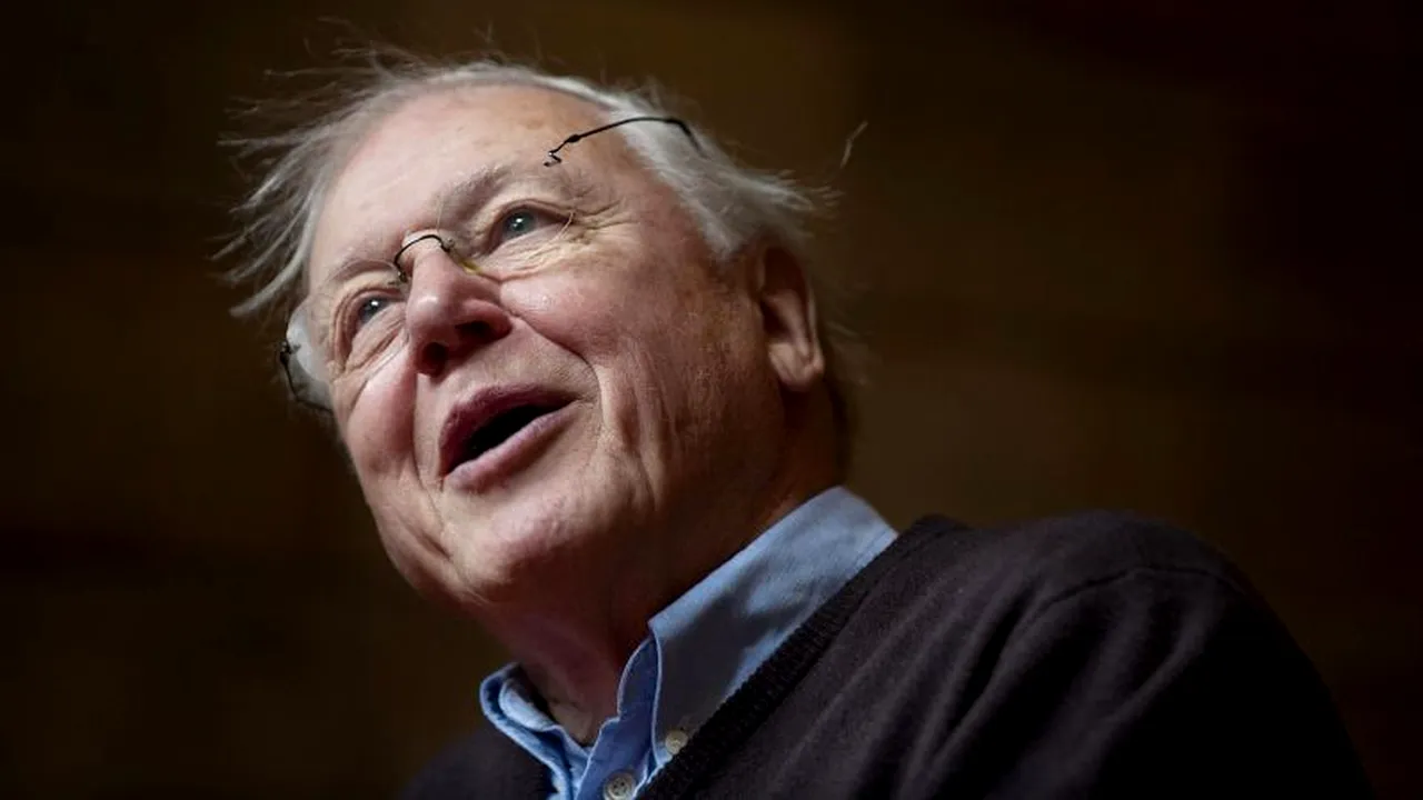 Un celebru realizator de documentare vrea să îl găsească pe Yeti