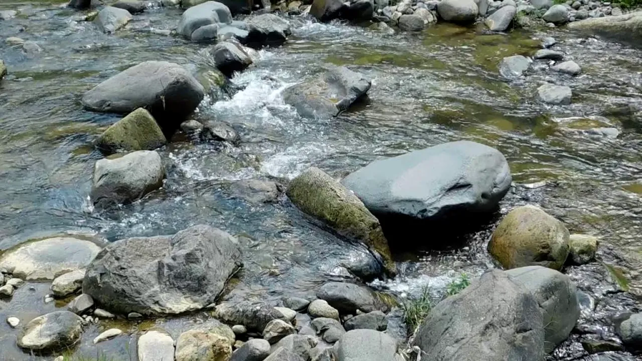 Fratele fostului comandant al IPJ Maramureș, găsit mort în râul Cavnic în ziua în care familia îi anunțase dispariția