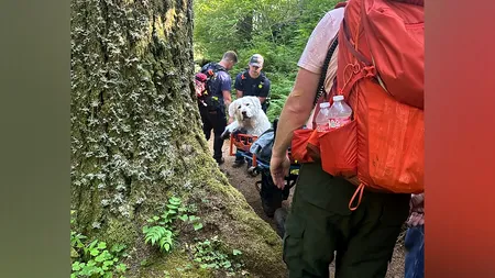 Misiune inedită pentru salvamontiștii din SUA. Au urcat pe munte pentru a salva un câine
