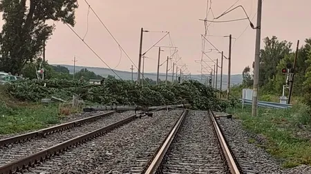 Brașov: Circulația feroviară, oprită din cauza unor copaci căzuți pe calea ferată