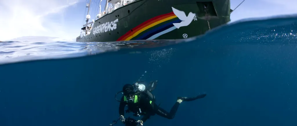 Celebra navă Rainbow Warrior va ancora timp de cinci zile în Constanța. Mesajul pentru România: „Stop cărbune, folosiți energie curată!