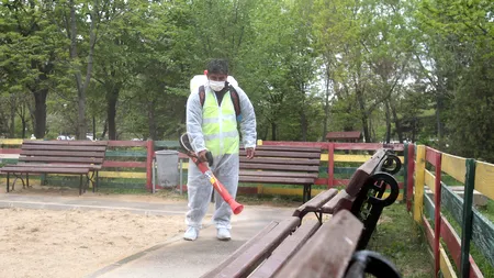 Veste bună pentru bucureșteni: Primăria Capitalei a semnat un contract pentru dezinsecție și deratizare