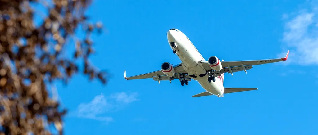 Un avion cu destinația Malaga a aterizat de URGENȚĂ din cauza unui șoarece. Creatura a fost descoperită în mâncarea unei pasagere