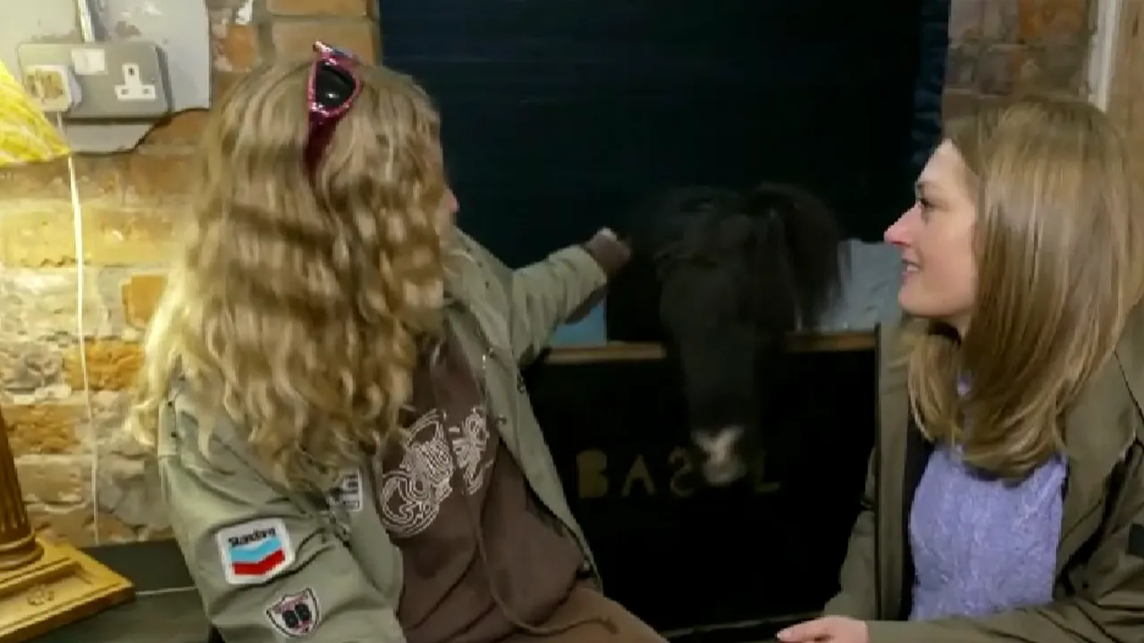 Cât costă o cameră pe care o împarți cu un ponei. Doritorii care dorm în miros de grajd, nu sunt deloc puțini!