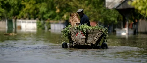 Inundații în Teleorman: 13 localități, afectate de inundații. Sute de gospodării sunt acoperite de ape