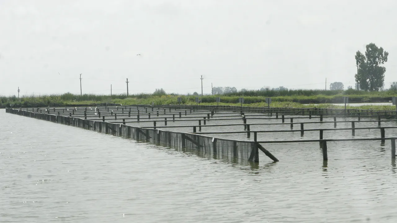 Varga: Vom face o listă neagră a firmelor cu lucrări de calitate slabă, schimbăm și legislația