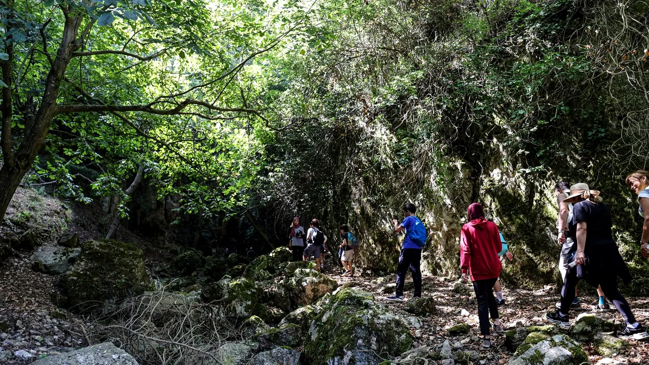 CAPCANE din cuie, descoperite într-o pădure frecventată de turiști, în Gorj