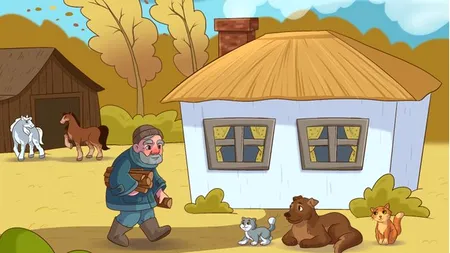 Test de inteligență | Câte greșeli sunt în această fotografie? Atenție la detalii!