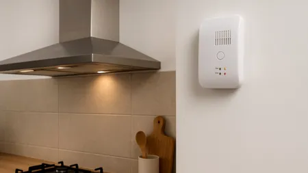 Care este prețul unui detector de gaze. Sumă mică pentru cât de mult ajutor aduce