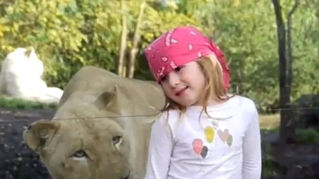 VIDEO. Moment amuzant la ZOO. Cum a reacționat o fetiță când s-a trezit în spate cu o leoaică