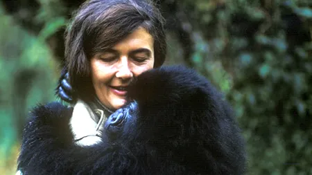 DIAN FOSSEY - 82 de ani de la nașterea lui DIAN FOSSEY, supranumită ''Doamna gorilelor''