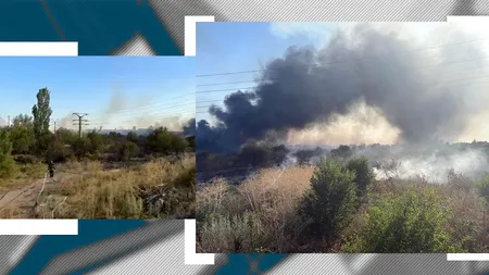 Incendiu de vegetație în localitatea Clinceni. A fost emis un mesaj RO-Alert