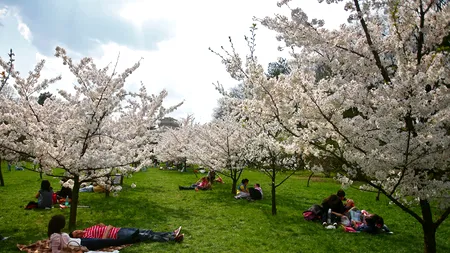 VREMEA DE 1 MAI. Prognoza meteo de marți și miercuri