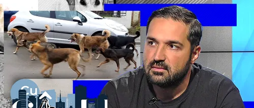 Tudor Tim – Ionescu: Cei care își țin câinii fără lesă pe stradă ar trebui amendați | VIDEO EXCLUSIV