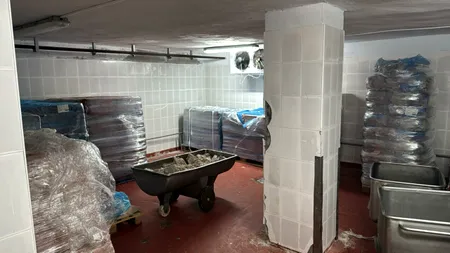 Inspectorii ANPC, sub coordonarea președintelui Piedone, au oprit temporar activitatea unei fabrici de conserve din Ilfov. Ce nereguli au fost găsite