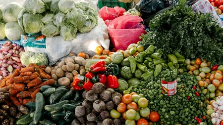 Vești bune pentru fermieri: schema de AJUTOR privind legumele cultivate în spații protejate, pe agenda ședinței Guvernului!