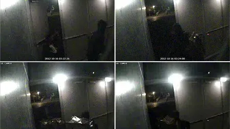 Suspecții români în furtul de tablouri de la Rotterdam vor să fie judecați în Olanda, altfel 