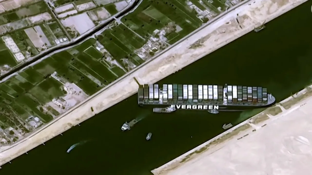 Animals International: 10 vapoare cu animale vii din România sunt blocate în canalul Suez, în urma eșuării navei Evergreen. Animalele riscă să moară de foame