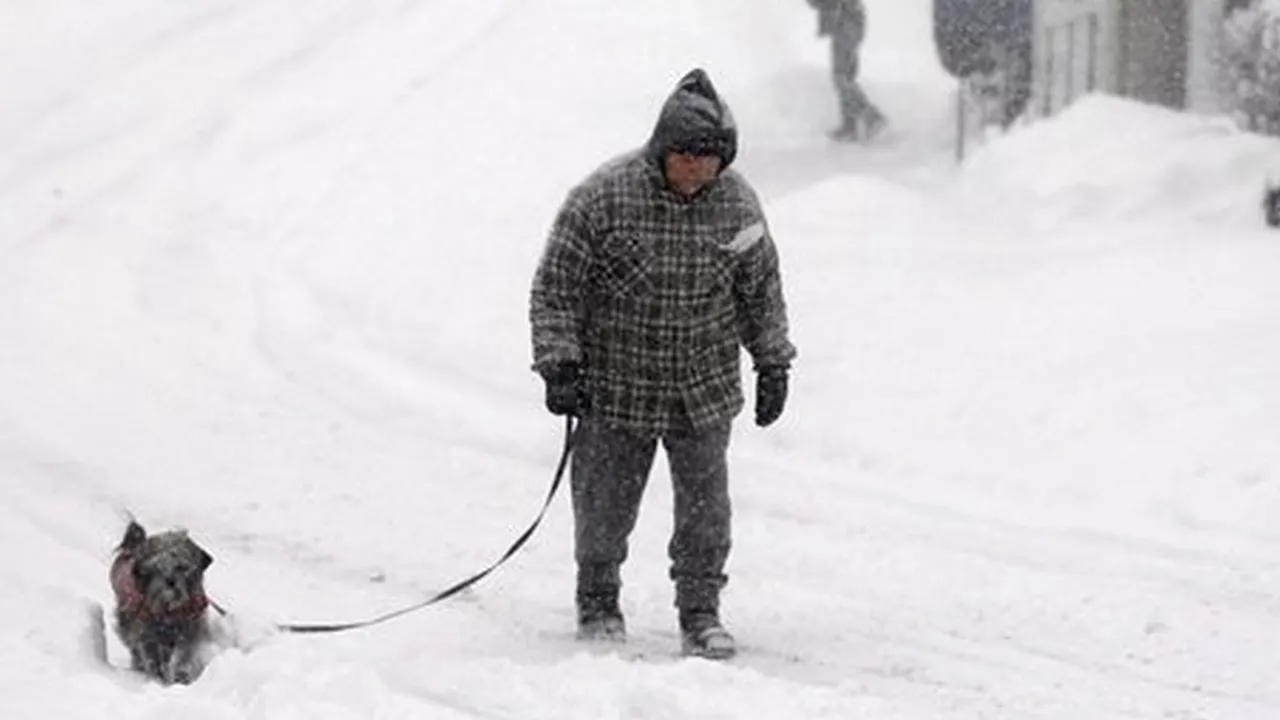 VREMEA. Circulația este întreruptă pe patru drumuri naționale, din cauza ninsorii și viscolului