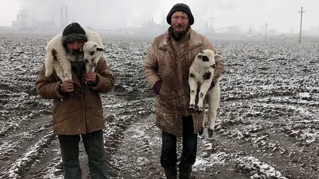 Un fotograf de origine română, desemnat câștigătorul iPhone Photography Awards