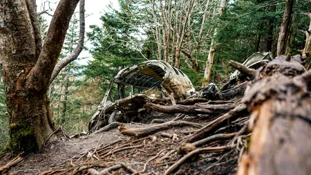 Doi morți după prăbușirea unui avion de mici dimensiuni în munții Germaniei