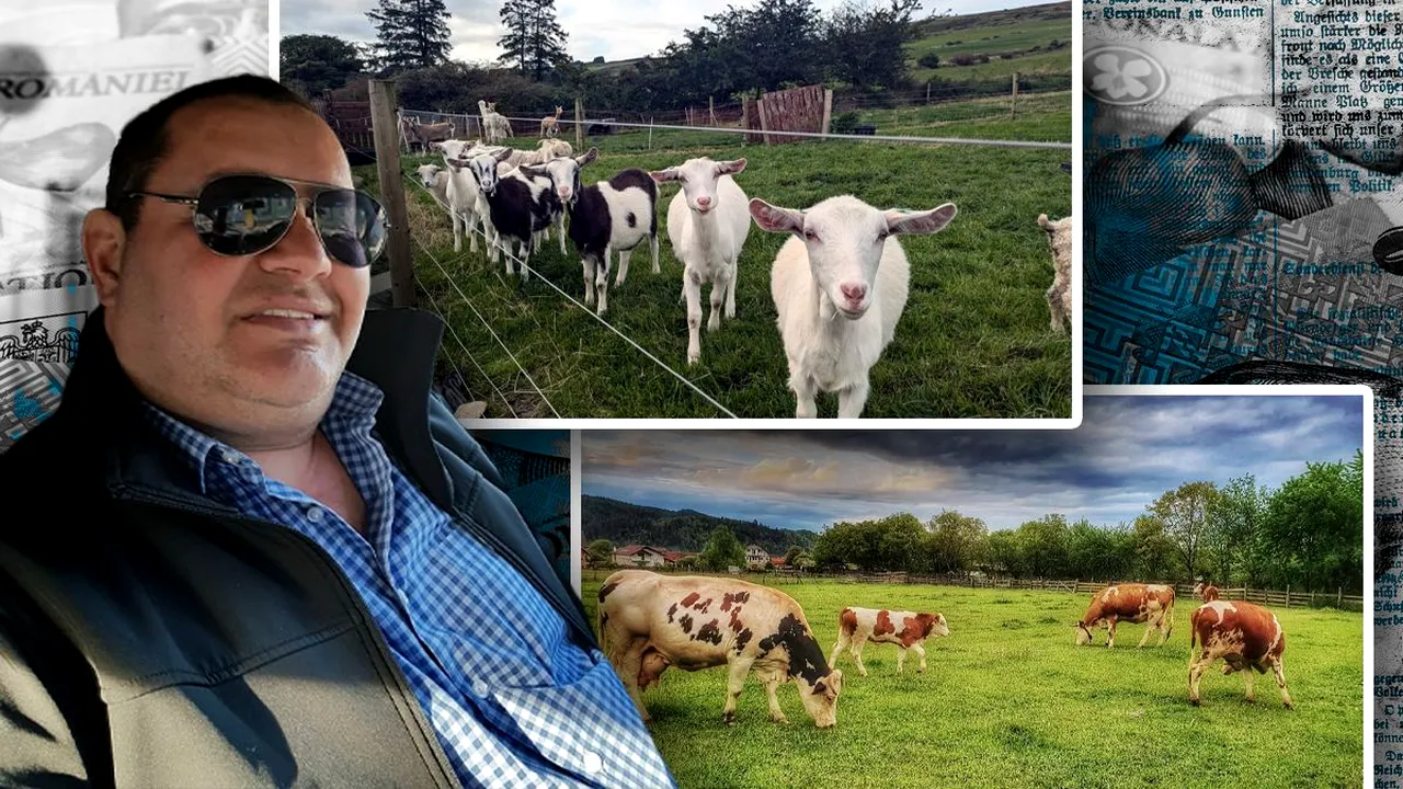 Cine a pus mâna pe averea temutului Gigi Geamănu, la un an de la moartea acestuia. Liderul interlop se răsucește în mormânt