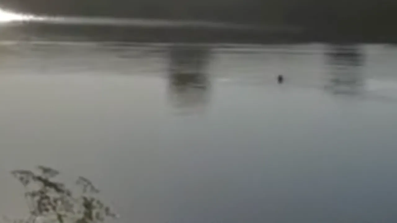 VIDEO. Un bărbat a fost filmat în timp ce se îneca într-un lac. Pescarii care priveau: „Se duce cu capul la fund! S-a înecat”