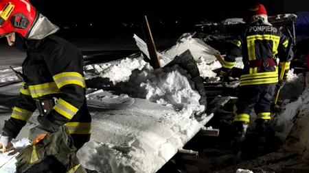 Un saivan de 500 mp s-a prăbușit peste 400 de animale, în județul Prahova. Zeci de oi și capre au murit