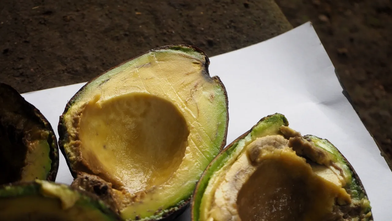 AVOCADO cu pete maro, galbene sau miez negru: e bun să-l mâncăm sau se duce la gunoi?