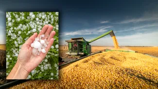 Criza politică blochează agricultura. În timp ce România este traversată de un episod de furtuni, sistemul antigrindină rămâne nefuncțional
