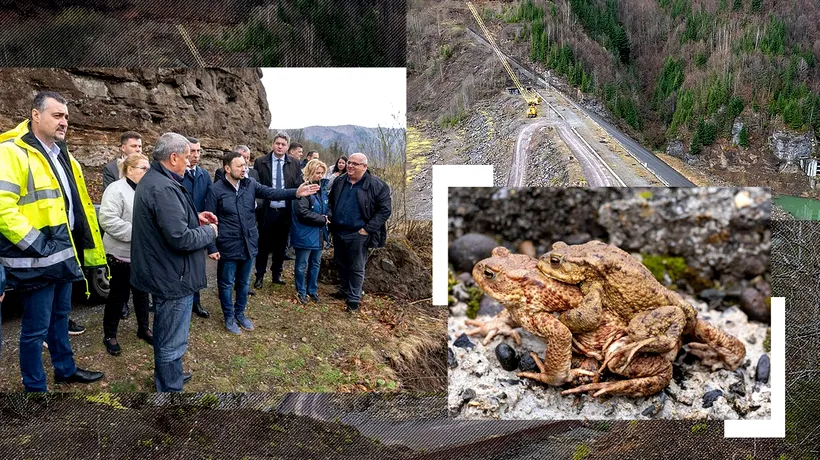 Complexul Răstoliţa-Mureș poate produce primul kilowatt în 2024. Cine a întârziat proiectul hidroenergetic, vezi FOTO