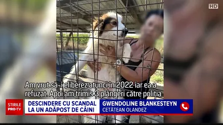 Dosar penal pentru o proprietară a unui adăpost de câini. Ce nereguli grave au descoperit polițiștii