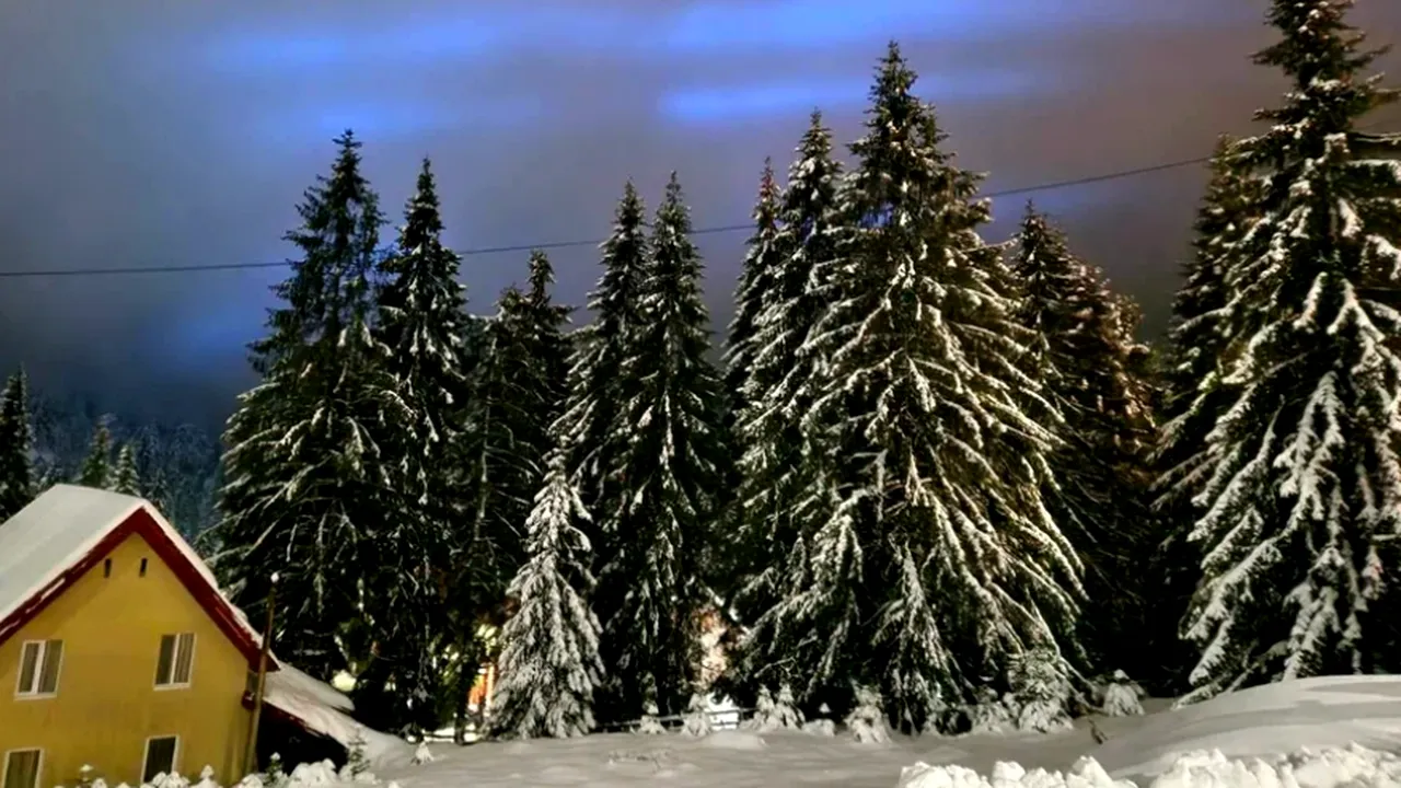 FOTO | Fenomen extrem de rar! Aurora boreală albastră, vizibilă în România