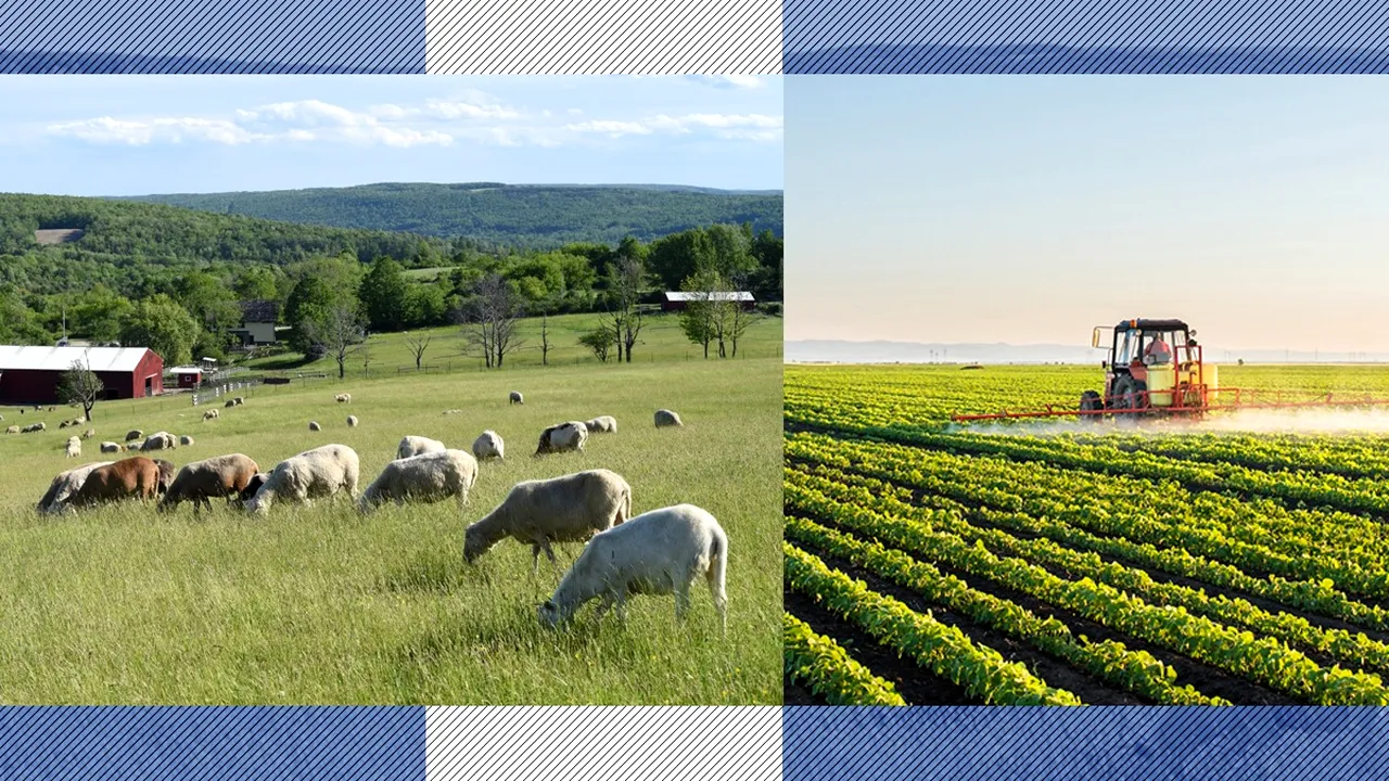 Comisia Europeană a aprobat modificările Planului Strategic pentru Politica Agricolă Comună al României. Care sunt beneficiile pentru fermieri