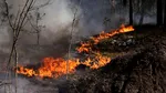 Incendiu de proporții lângă centrala Cernobîl. Focul se extinde rapid, iar operațiunile de stingere sunt îngreunate de minele lăsate de ruși