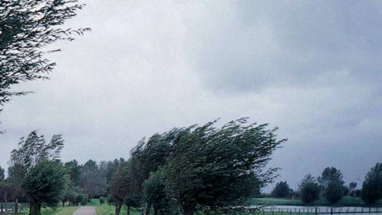 METEO: Cod galben de vânt în patru județe. Un județ, vizat de cod galben de ceață