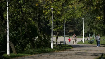 OPERAȚIUNEA MUȘCATA. Primăriile dau milioane de lei pentru flori și arbori 