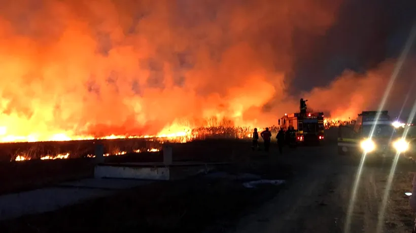Incendiu puternic de vegetație la ieșirea din Făgăraș. Trafic blocat pe DN1. Video
