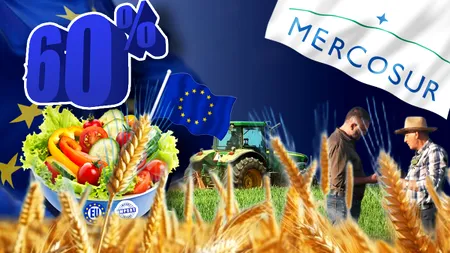 Paradoxul agriculturii României în 2026: suntem cel mai mare exportator de cereale din Uniunea Europeană, dar 60% din legumele din farfurie vin din import. Care sunt explicațiile, ce arată prognozele internaționale și care sunt vulnerabilitățile
