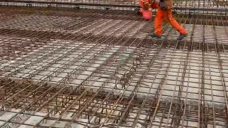 Inspecția Muncii a dat AMENZI de peste două milioane de lei pentru neregulile descoperite la angajarea cetățenilor străini. Câți lucrează în România