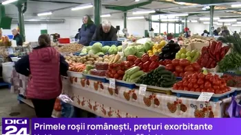 Prețul URIAȘ cu care se vinde un kilogram de roșii românești. Îți faci provizii mari de carne cu banii aceștia