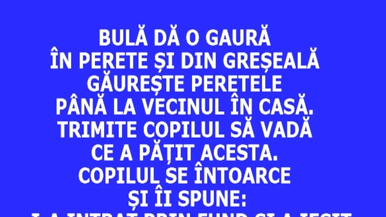 BANC | Bulă dă o gaură în perete