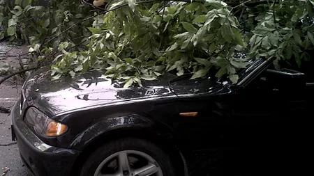 Patru autoturisme, avariate de un copac doborât de vânt în Cluj