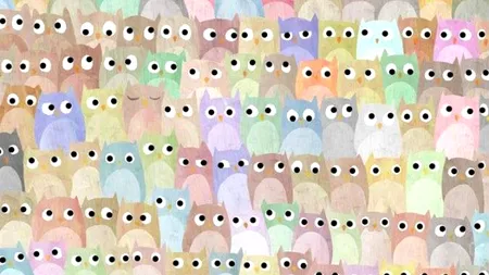 Iluzie optică VIRALĂ | Găsiți pisica ascunsă printre bufnițele din imagine!