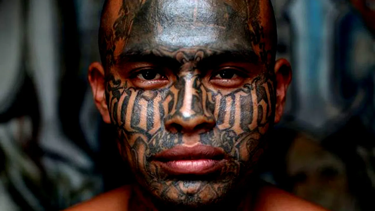 Povestea celei mai periculoase bande din lume. Câți bani câștigă anual din infracțiuni și crime comandate