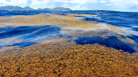 Marea care nu atinge niciun țărm pentru că nu are maluri