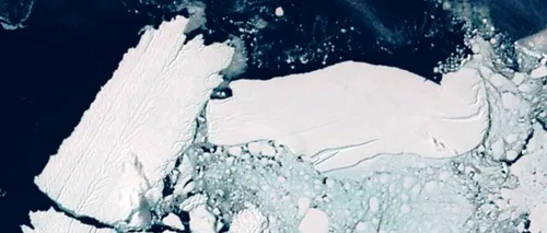 Secretele Antarcticii. Ce au descoperit cercetătorii sub un ghețar de mari dimensiuni