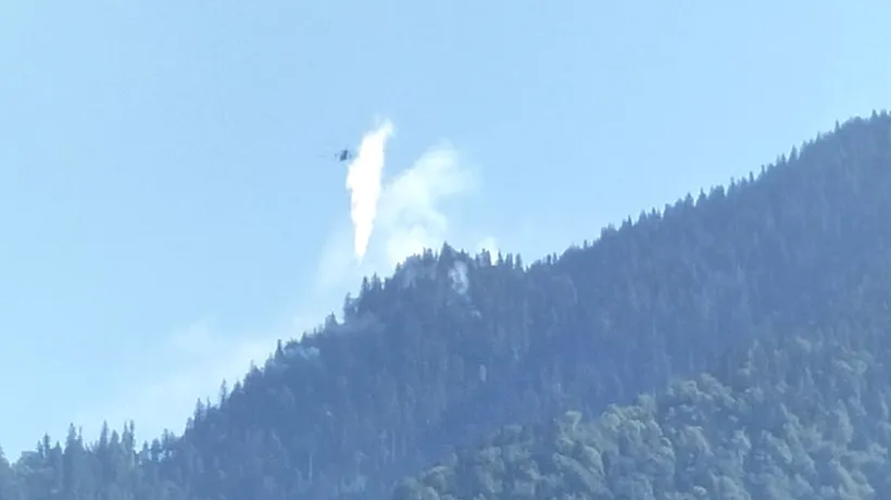 Ministerul Apărării a trimis o aeronavă pentru stingerea unui incendiu forestier în Munţii Maramureşului