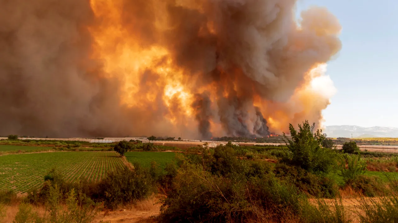 Un INCENDIU de vegetație se extinde cu repeziciune într-o stațiune din Turcia, unde se află mulți turiști români